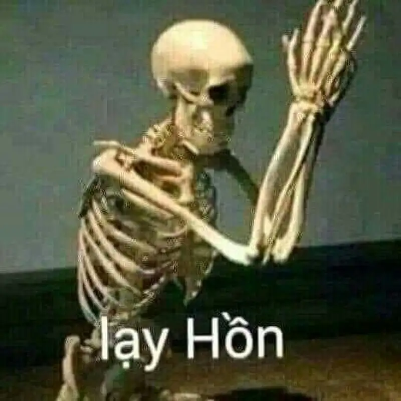 Ảnh quỳ meme này sẽ khiến bạn mỉm cười vì sự ngộ nghĩnh của meme.