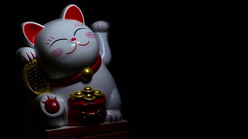 Ảnh meme mèo cười chỉ tay mang lại sự vui vẻ và thú vị ngay từ cái nhìn đầu tiên.