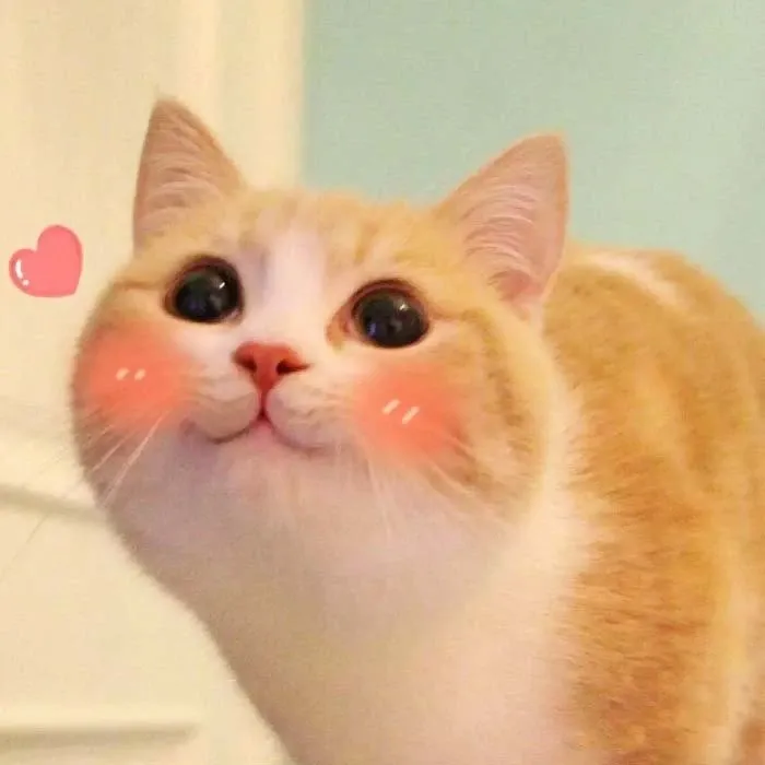 Ảnh meme anh da đen ôm đầu mang lại sự bất ngờ thú vị, đáng yêu. Ảnh meme anh da đen ôm đầu mang lại sự bất ngờ thú vị, đáng yêu.