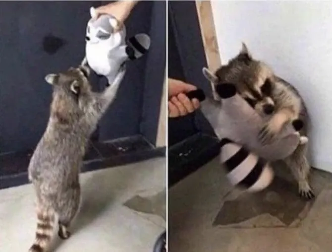 Meme anh da đen ôm đầu bất ngờ chắc chắn sẽ khiến bạn bật cười vì tình huống hài hước. Meme anh da đen ôm đầu bất ngờ chắc chắn sẽ khiến bạn bật cười vì tình huống hài hước.