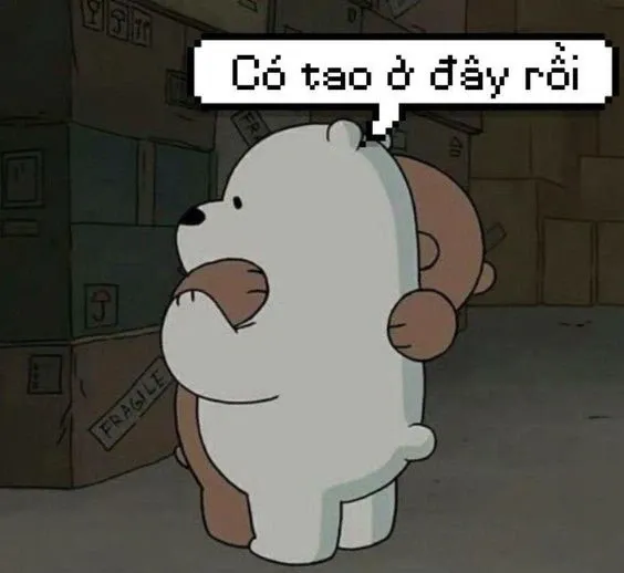 Mèo ôm meme mang đến một cảm giác dễ thương không thể bỏ qua. Mèo ôm meme mang đến một cảm giác dễ thương không thể bỏ qua.