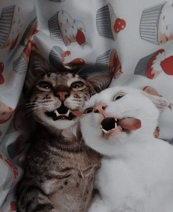 Meme anh da đen ngạc nhiên ôm đầu khiến bạn bật cười vì biểu cảm ngạc nhiên. Meme anh da đen ngạc nhiên ôm đầu khiến bạn bật cười vì biểu cảm ngạc nhiên.