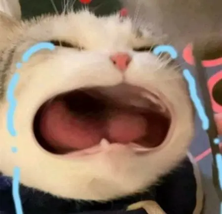 Sad mouse meme này khiến bạn cảm thấy tội nghiệp cho chú chuột nhỏ.