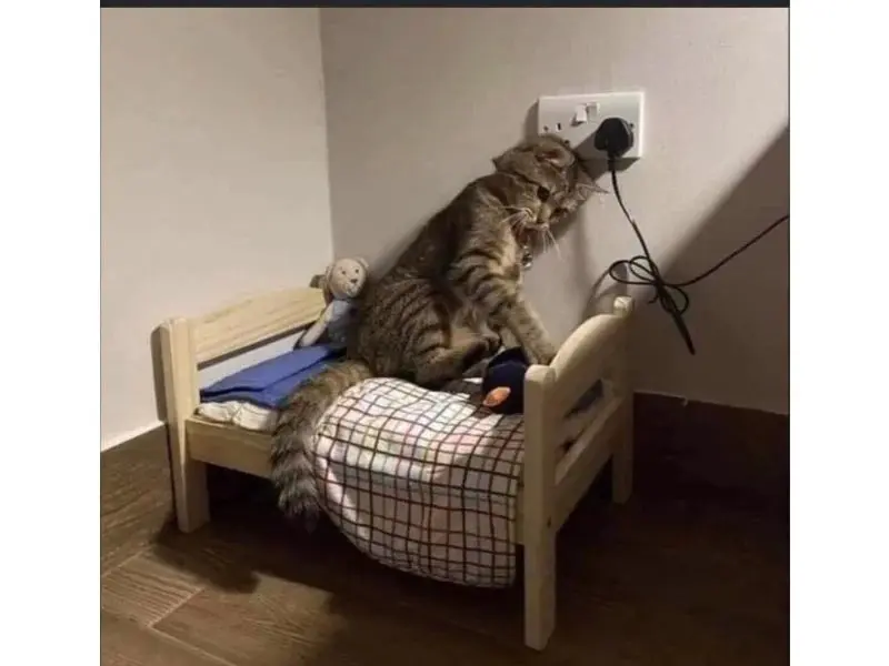 Emoji sad meme này làm bạn không thể không cảm thấy buồn và thương cảm.