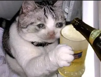 Sad guy meme này làm bạn cảm thấy đồng cảm với nỗi buồn của nhân vật.