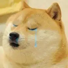 Meme dog sad này làm bạn cảm thấy thương xót với đôi mắt buồn của chú chó.