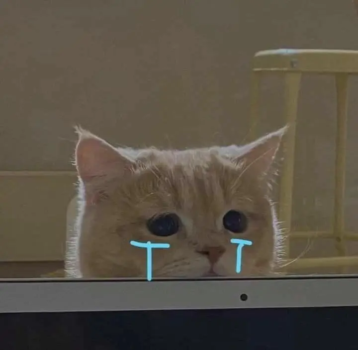 Wojak sad man meme thể hiện nỗi buồn sâu thẳm trong con người.
