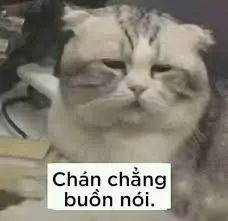 Meme thả sad này thể hiện một cảm giác buồn bã không thể tránh khỏi.