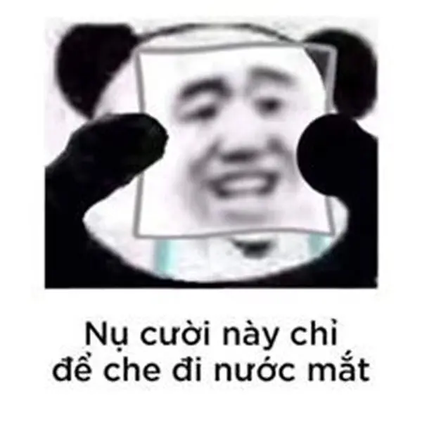 Mèo sad meme này dễ dàng làm bạn cảm thấy lạc lõng và buồn bã.