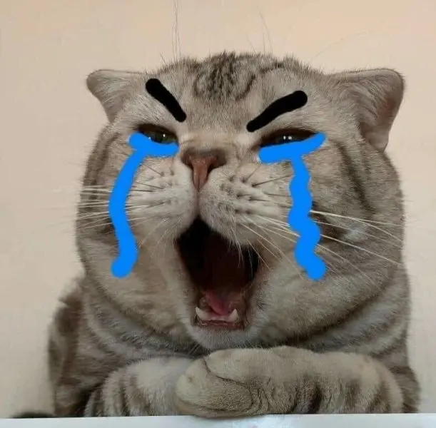 Meme face sad cực kỳ gây chú ý với biểu cảm buồn đầy nổi bật.