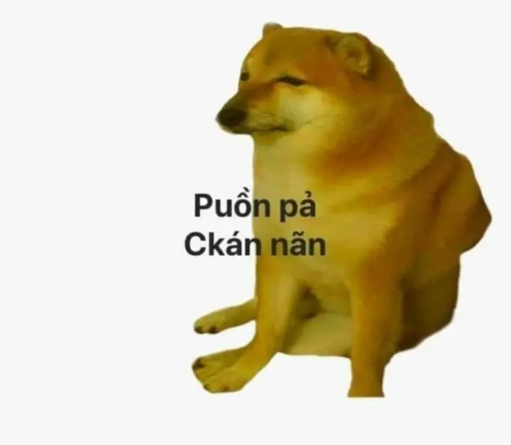 Sad dog meme mang đến cảm giác tội nghiệp và đáng yêu cùng một lúc.