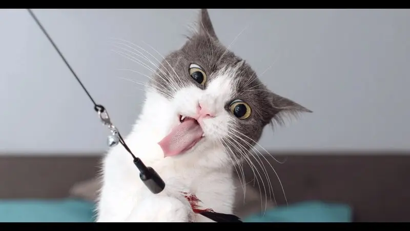 Wojak sad boy meme face này thể hiện sự tuyệt vọng và cô đơn sâu sắc.