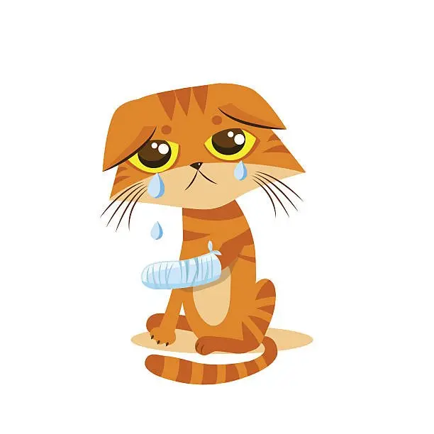 Sad cats meme này khiến bạn phải dừng lại và suy ngẫm về sự cô đơn.