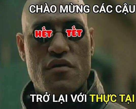 Avatar tết 2024 meme độc đáo và dễ thương, tạo niềm vui cho ngày Tết.