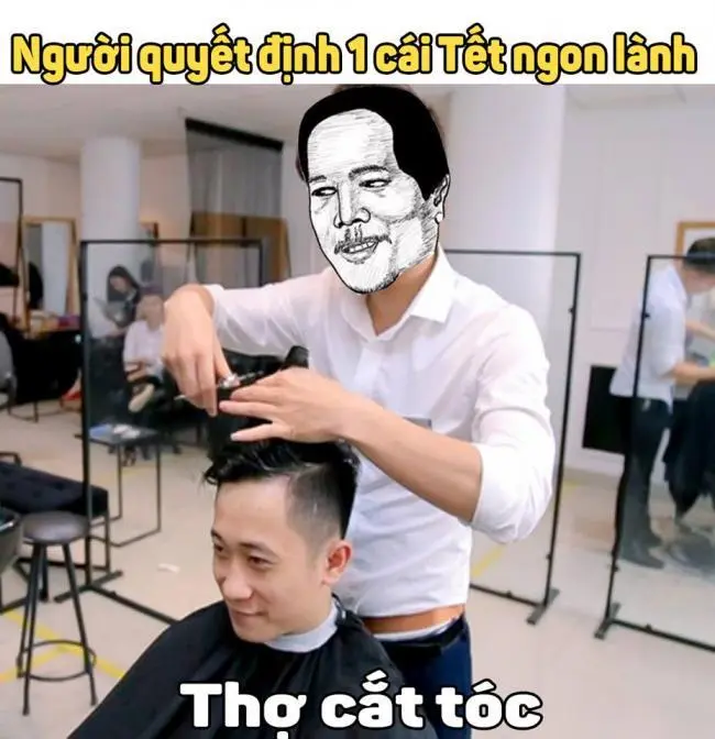 Ảnh mèo meme tết 2024 ngọt ngào và dễ thương cho ngày xuân.