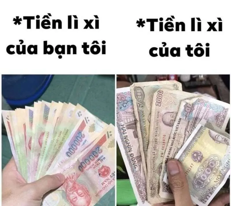 Avatar mèo meme tết cực kỳ thú vị, mang lại niềm vui trong ngày Tết.