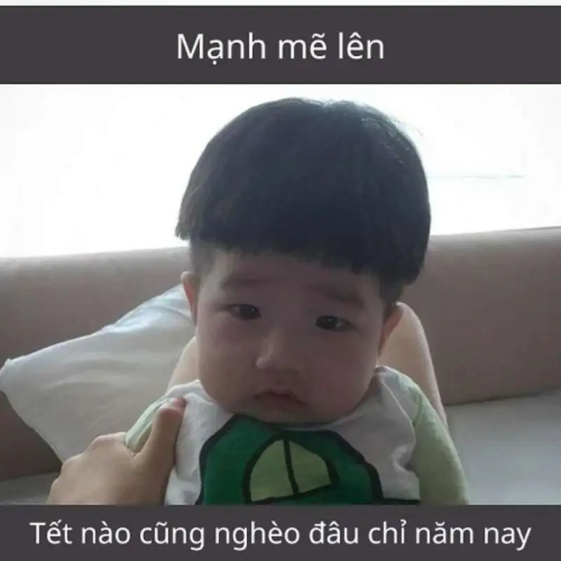 Meme tết mèo với những chú mèo ngộ nghĩnh, cực kỳ hài hước cho Tết.