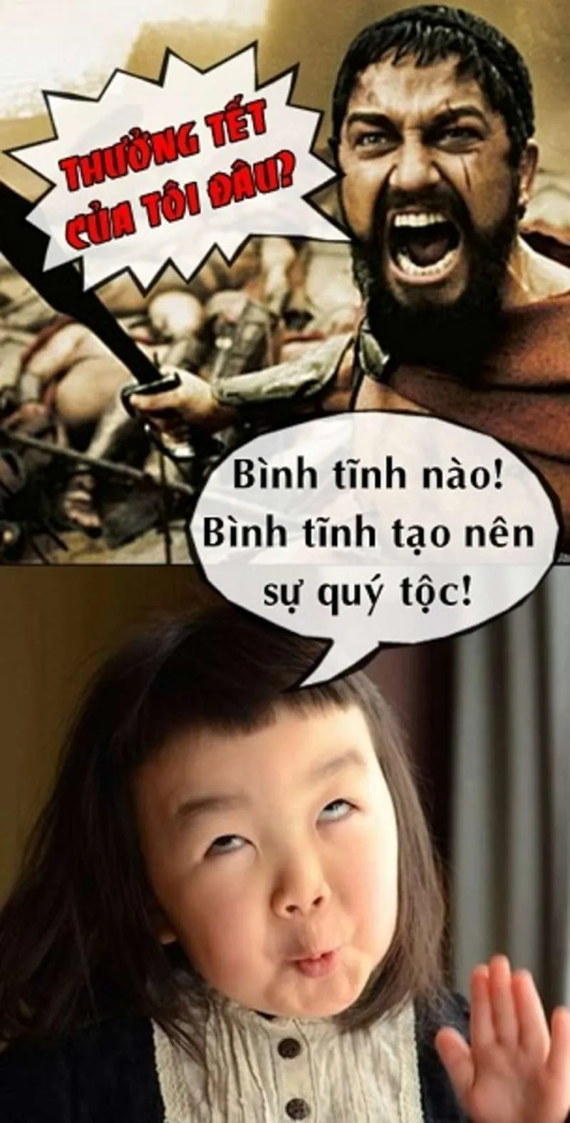Avatar tết meme mèo cực kỳ dễ thương, cho ảnh Tết thêm phần vui nhộn.
