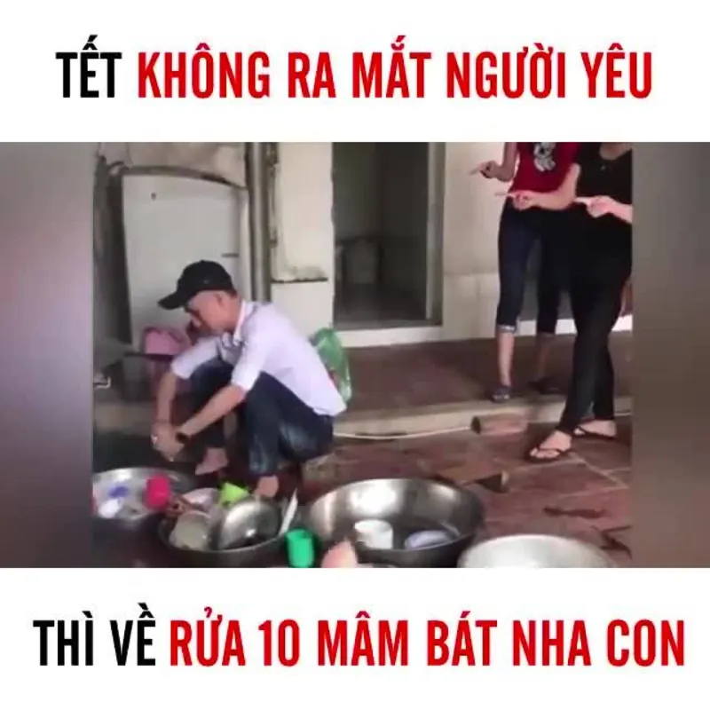 Ảnh tết meme mèo siêu dễ thương, khiến Tết trở nên thú vị hơn.