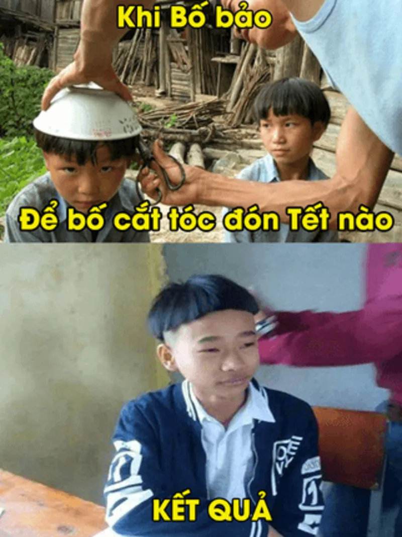 Ảnh tết mèo meme đáng yêu, phù hợp để chia sẻ trong dịp Tết.