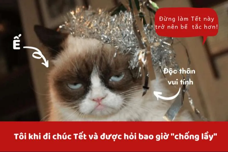 Hình ảnh tết meme tạo không khí tươi mới và ngập tràn sắc xuân.