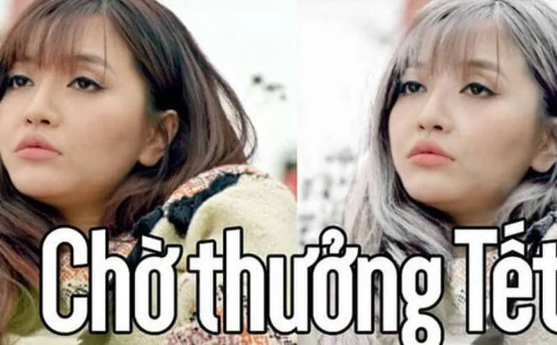 Ảnh meme mèo tết siêu dễ thương, cho ngày Tết thêm phần vui nhộn.