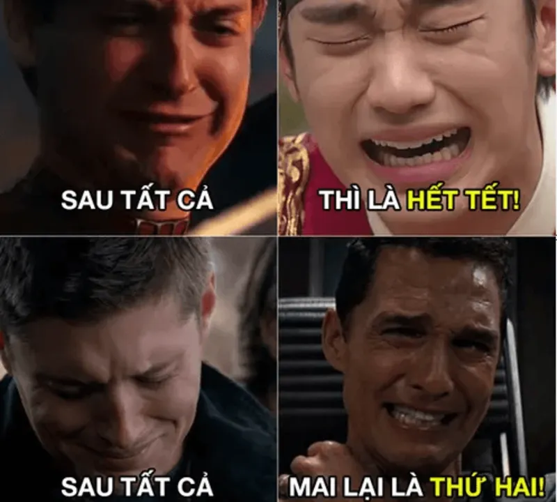 Avt tết meme dễ thương, đem lại không khí vui tươi cho dịp Tết.
