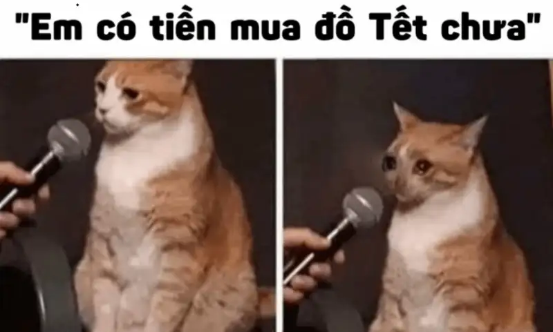 Meme thưởng tết vui nhộn, thể hiện niềm vui nhận thưởng đầu năm.