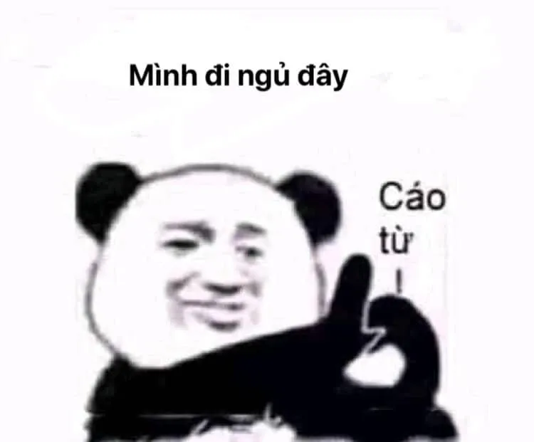 Meme ngủ ngon mèo siêu đáng yêu, dễ thương vô cùng.