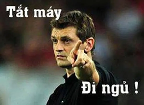 Ngủ ngon meme mèo với biểu cảm cực hài.