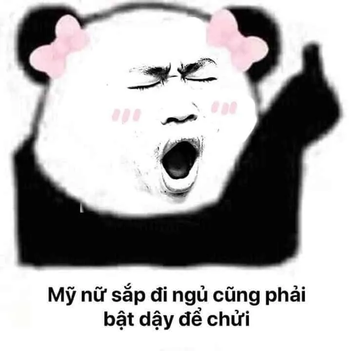 Meme chúc ngủ ngon cute siêu dễ thương trước khi ngủ.
