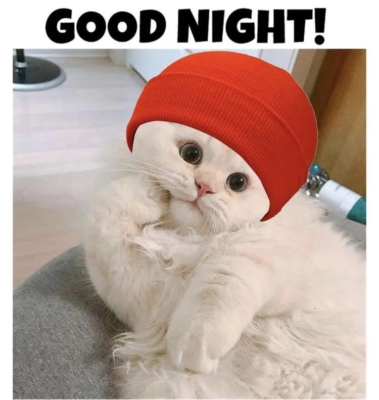 Meme đi ngủ cute dễ thương và siêu độc đáo.