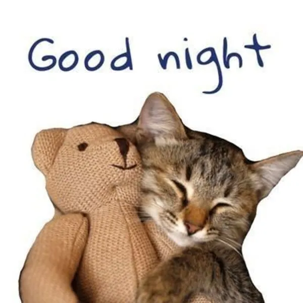 Meme mất ngủ vui nhộn nhưng đầy đồng cảm.