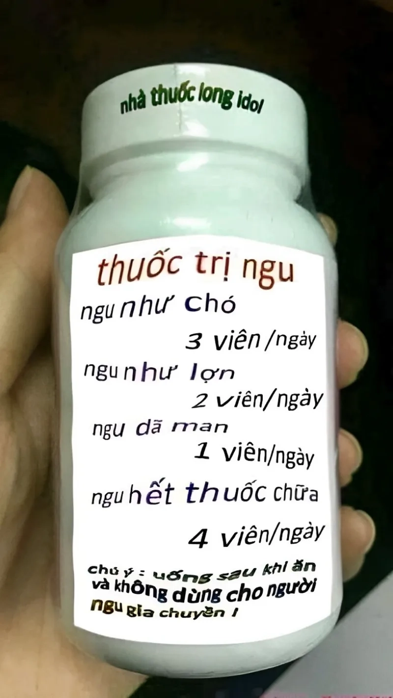 Meme ngu ngục chắc chắn sẽ khiến bạn cảm thấy thú vị với những tình huống bất ngờ!