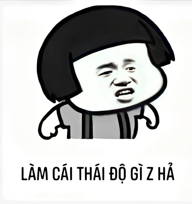 Một meme penguin dễ thương sẽ làm bạn cười tít mắt và thư giãn!