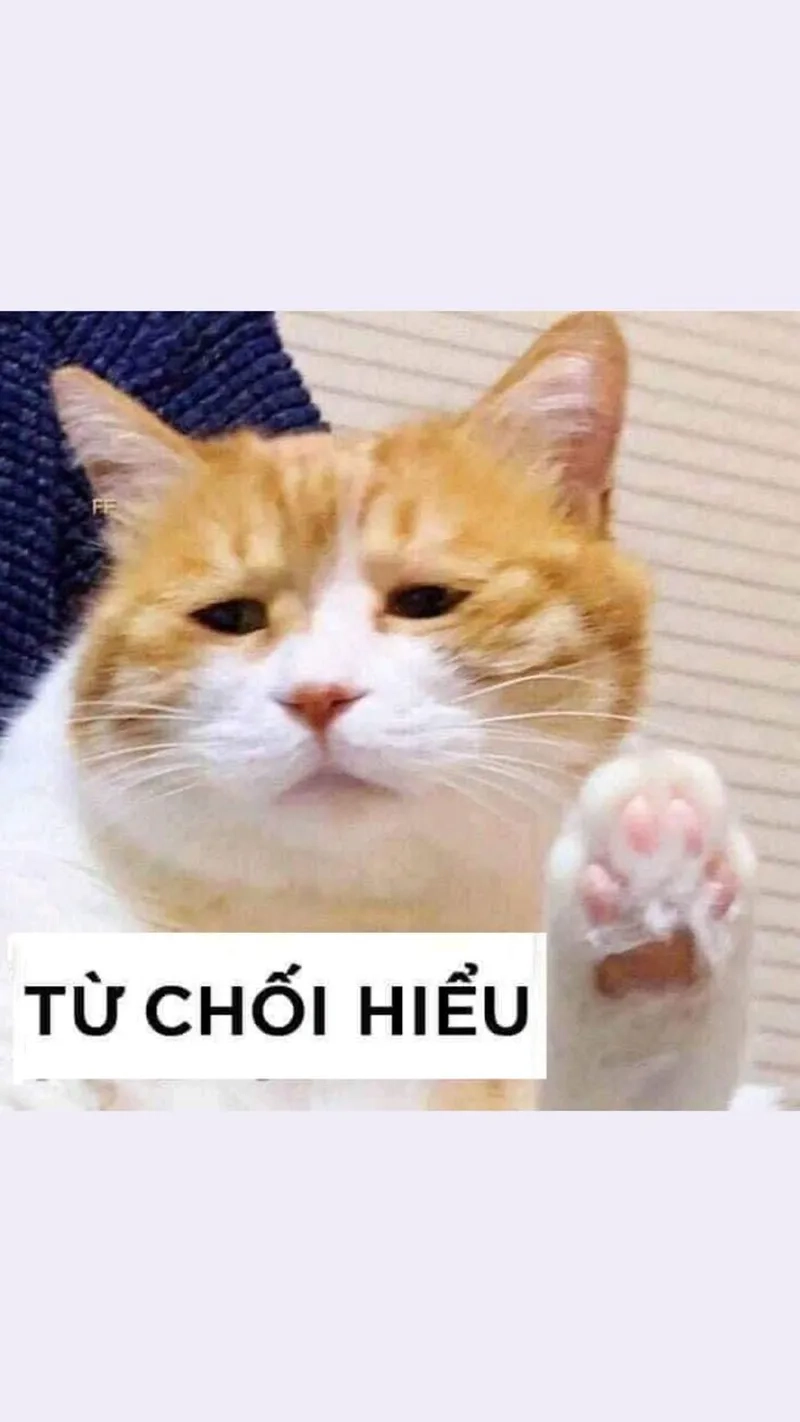 Meme thuốc trị ngu sẽ giúp bạn thư giãn và làm dịu đi những lo âu trong cuộc sống!