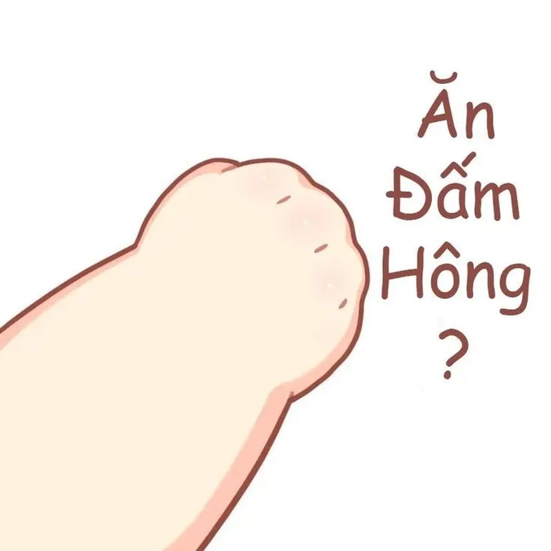 Khám phá nguồn gốc meme hết cứu và bạn sẽ nhận ra rằng mọi thứ có thể trở nên ngớ ngẩn một cách thú vị!