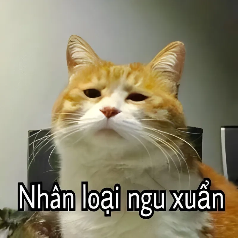 Đừng để ngu thì chết meme trở thành tình huống quá quen thuộc trong cuộc sống!
