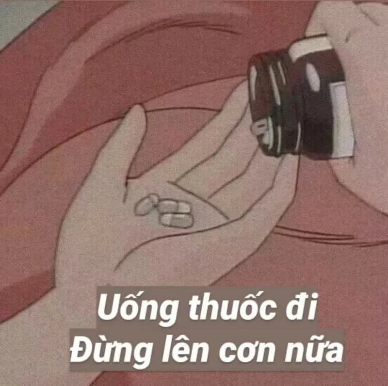 Meme mèo nguy hiểm mang lại sự vui nhộn khó cưỡng từ những biểu cảm đáng yêu!