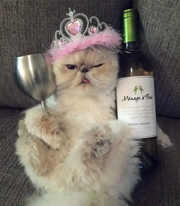 Meme chúc mừng sinh nhật sến siêu dễ thương cho bạn thân Meme chúc mừng sinh nhật sến siêu dễ thương cho bạn thân 