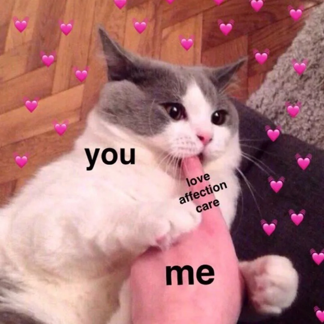 Thư giãn mỗi ngày qua meme cute hài Thư giãn mỗi ngày qua meme cute hài