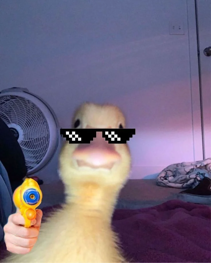 Hài hước với bộ meme cute có chữ siêu độc đáo Hài hước với bộ meme cute có chữ siêu độc đáo