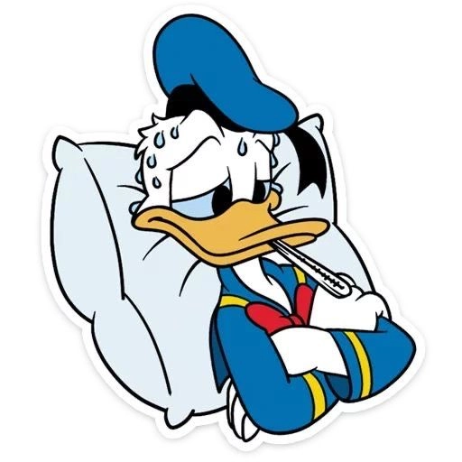 Meme hình con vịt hài hước cười nghiêng ngả với loạt biểu cảm độc đáo.