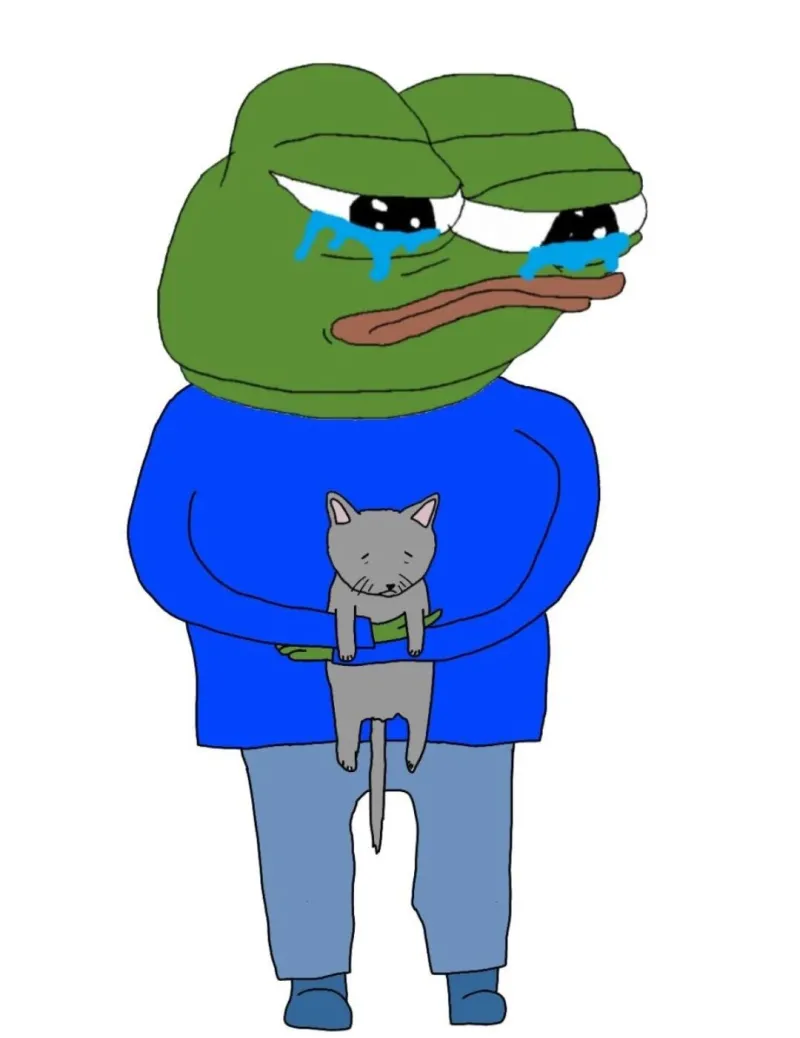 Meme con ếch khóc đáng thương nhưng lại buồn cười.