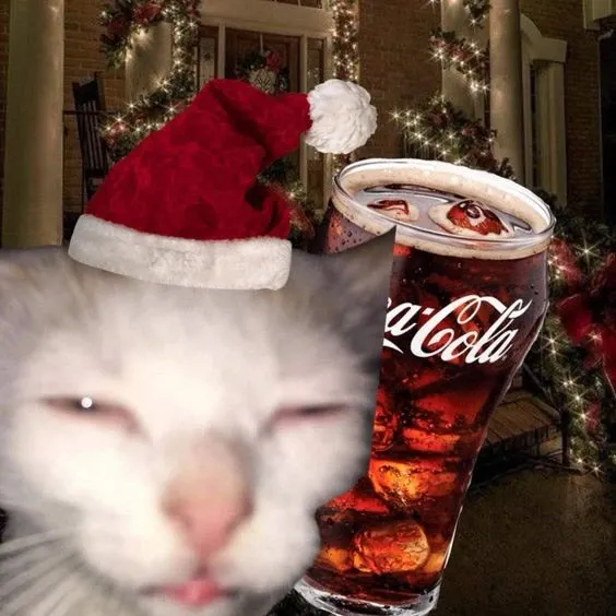 Avatar giáng sinh mèo meme độc lạ, hợp không khí noel.