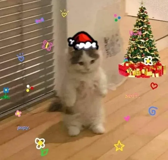 Ảnh noel meme siêu dễ thương, lưu ngay để chúc mừng lễ.
