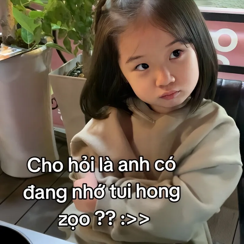 Meme xoá trí nhớ gây cười, ai cũng thích.