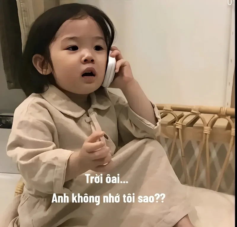 Meme bánh mì trí nhớ độc đáo, hài hước khó đỡ.