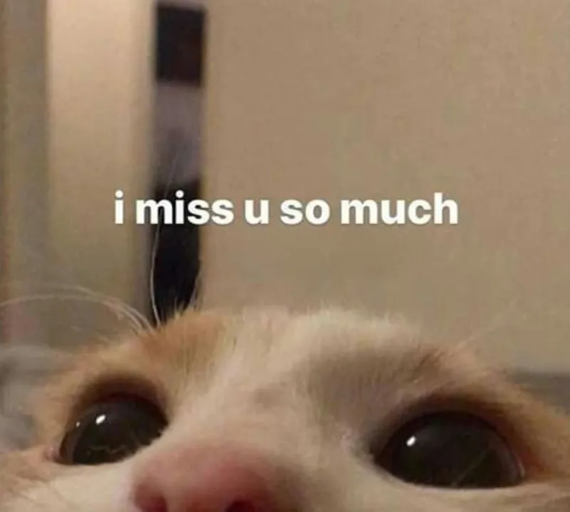 Thuốc mất trí nhớ meme cười không nhặt được mồm.