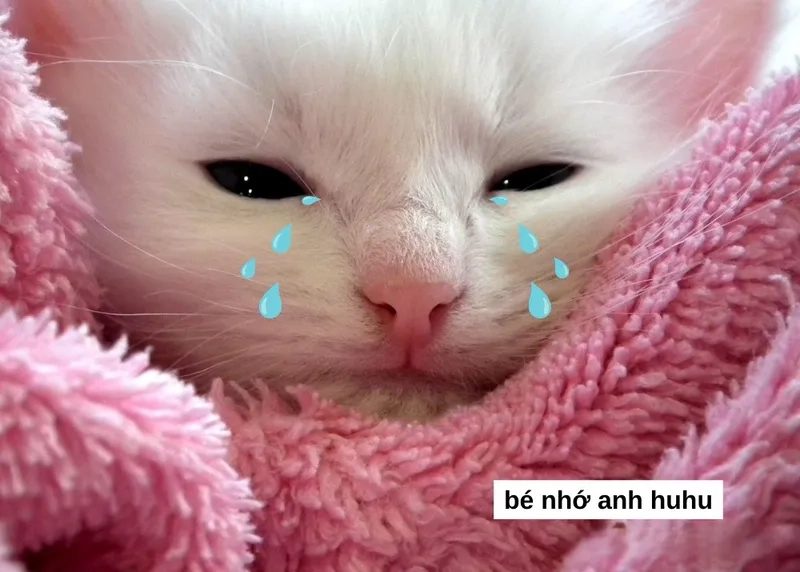 Nhớ em meme ngọt ngào, thích hợp để thả thính.